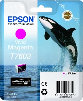 Epson T7603 Magenta